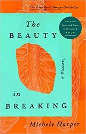 The Beauty in Breaking book cover